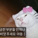 마크곤잘레스 옷걸이 논슬립 회전 옷걸이, 어깨뿔방지 옷걸이 사용 후기
