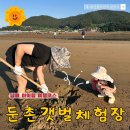 남해-240 | 아이랑 남해여행코스 둔촌갯벌체험장 주차장 및 여러 꿀팁