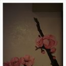 대전하늘정원 이미지