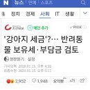 [기사] '강아지세금' 반려동물보유세 검토 이미지