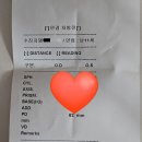 이노티안경 상인점 | 친절한 상인동안경 렌즈 다비치안경 상인점 재방문 후기