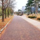 금곡동반려견놀이터 이미지