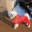 월곶해안로 이미지