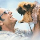 고집불통 이미지