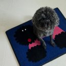 베베몽몽 이미지