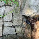 영신약수터 이미지