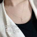 루키스타 꿈꾸는 고래 클래식 시그니처 실버 목걸이 추천