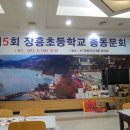 장흥초등학교 Daum카페