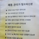 루아뷰티 - 군산시 | 루아뷰티