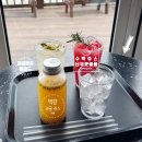 함덕언니 | 제주 오션뷰 대형 베이커리카페 함덕해수욕장 델문도 아쉬운후기