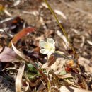 주왕산공원 관리사무소 이미지