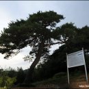 일강김철선생기념관 이미지
