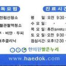 황태영한의원 Daum카페