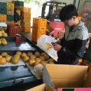 팔암농장 이미지