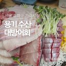가락시장 방어 용기수산 대방어
