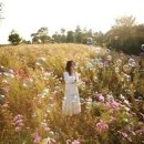 천생연분 이미지