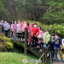 천안백석초등학교 이미지