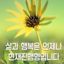 샘골흑염소