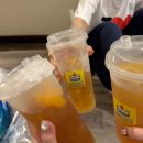 민지농장 | 한여름의 크리스마스