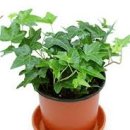 정화한의원 이미지