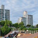 코리아 게임장 이미지