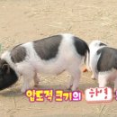 하영목장 이미지