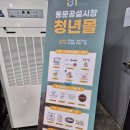 청년재래시장 | 제주동문시장 청년몰, 제주 소품샵 호끄만거 제주기념품 살만한 곳