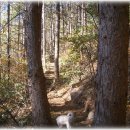 숲속민박 이미지