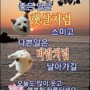 더문 이미지