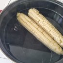 태장로795번길-R 이미지