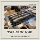 장안민물장어 | 인천 학익동 장어맛집｜왕숯불민물장어 학익점에서왕특 4마리 먹고 온 후기