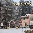 생슐피스 이미지