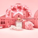 로사약국 이미지