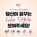 [LF] LF 2019 하반기 신입사원 공개채용 (~9/17) 이미지