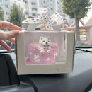 개슈(GAESHU) | 부산 강아지 케이크::개슈(geashu)