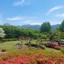 덕절산생태공원 이미지