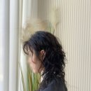 바오헤어(Bao hair) 이미지