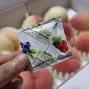 [후기] 맛있는 복숭아 찾는다면? 당도선별 복숭아, 충북 아리향 복숭아 추천!!