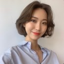 스테디헤어 이미지