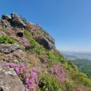 전라남도 보성 77번국도-군학마을 삼비산 이미지