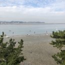 위플로산대부적점 | [선재도&amp;대부도] 친구들과 1박2일 여행 2일차 &lt;플로레도 커피/16호원조할머니손칼국수/카페DBB/시흥...