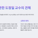 피데스 이미지