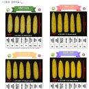 소윤섭농장 전자신문