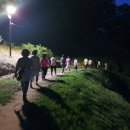 걷기지도사(야간) 이미지