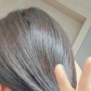 바야바국수 이미지