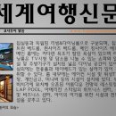 허니문가자고 이미지