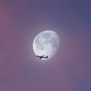 행운뽑기방 이미지