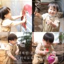 GS25 하단아트몰링점 | 고마워토토 하단점 보석같은 석류 25개월 아기 체험후기