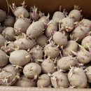 은현농장 이미지