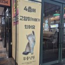 수원-0374 네이버블로그